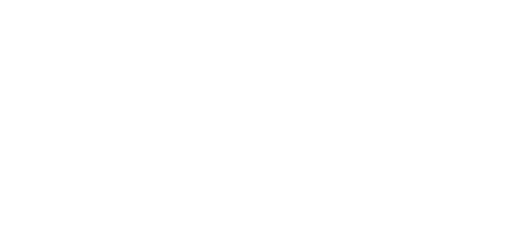 Logo PHV Blanco